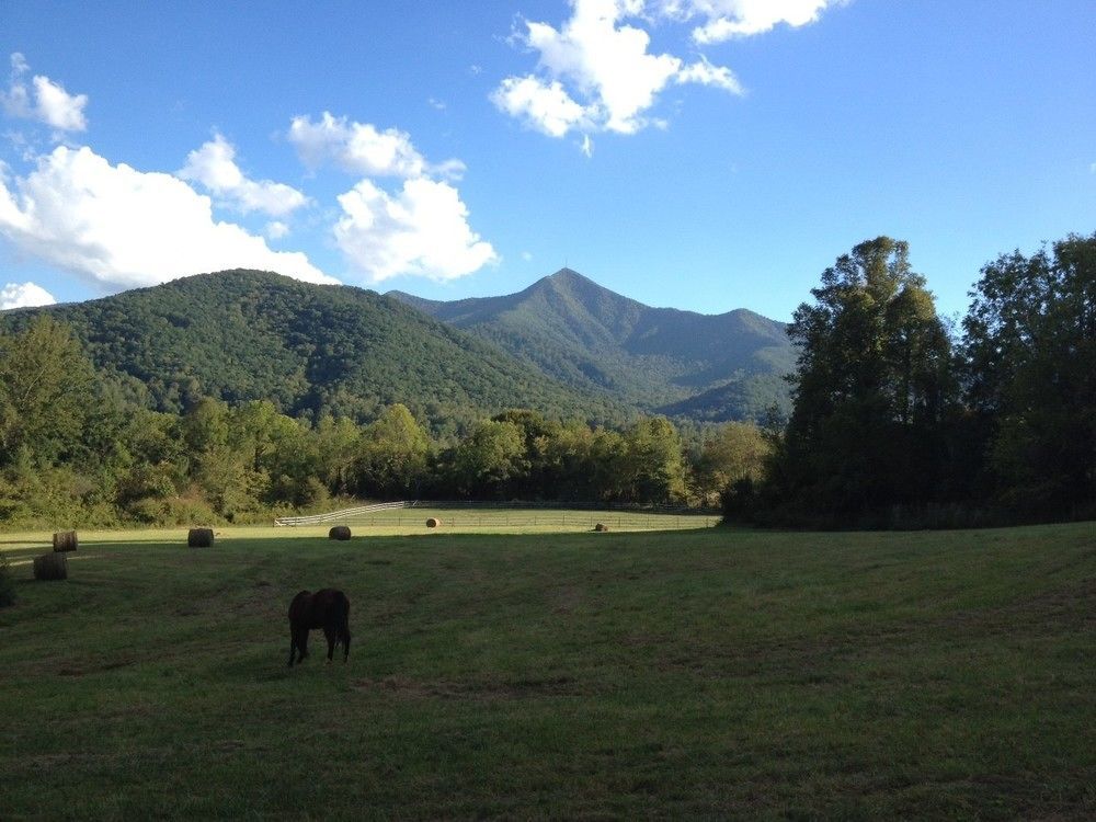 Pisgah View Ranch Hotel Candler Exterior photo