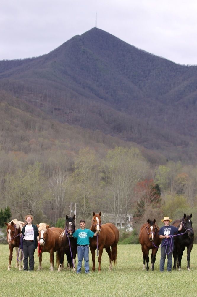 Pisgah View Ranch Hotel Candler Exterior photo